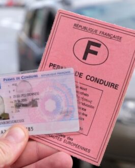 French Driver’s License