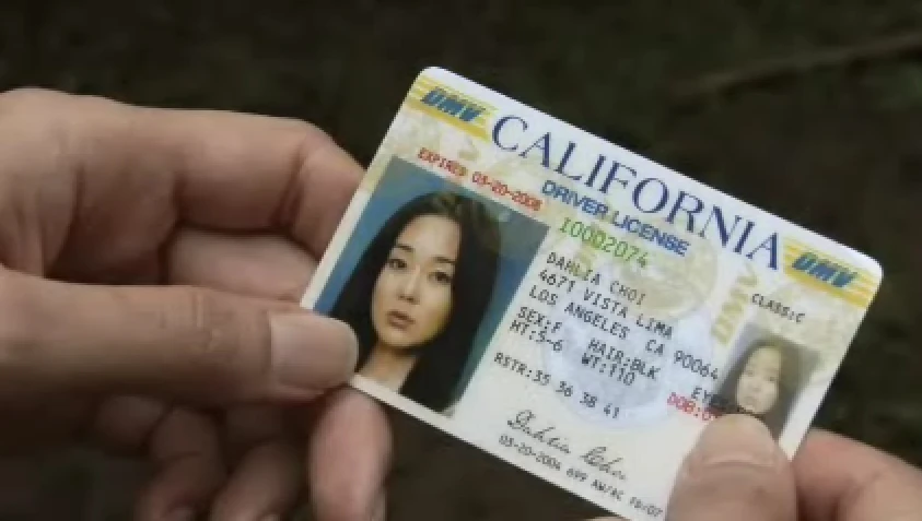 California Driver's License